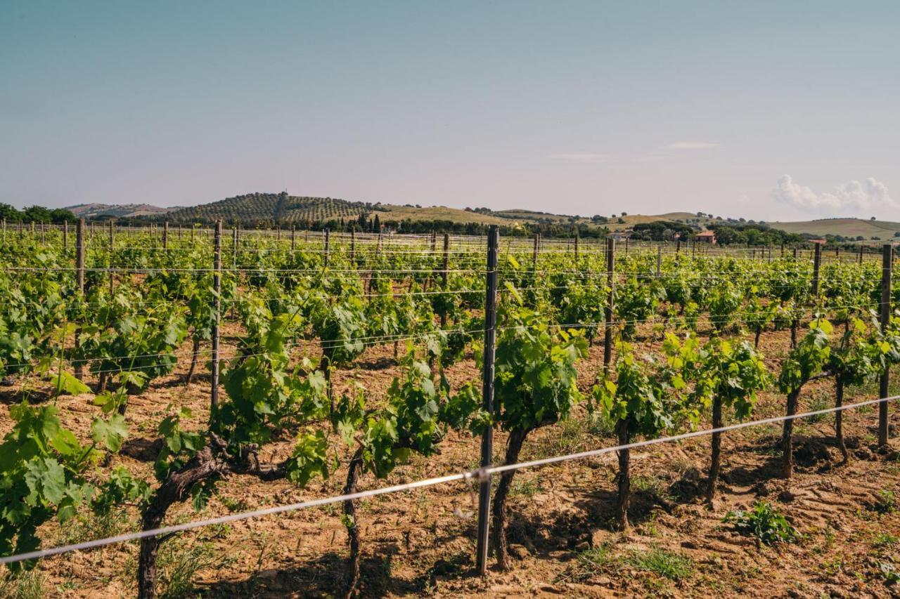Agriturismo Il Laghetto Grosseto Exterior foto