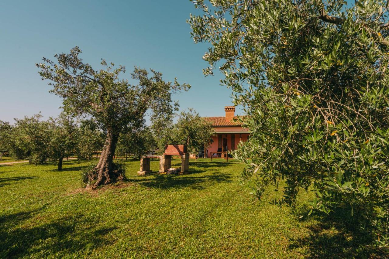 Agriturismo Il Laghetto Grosseto Exterior foto